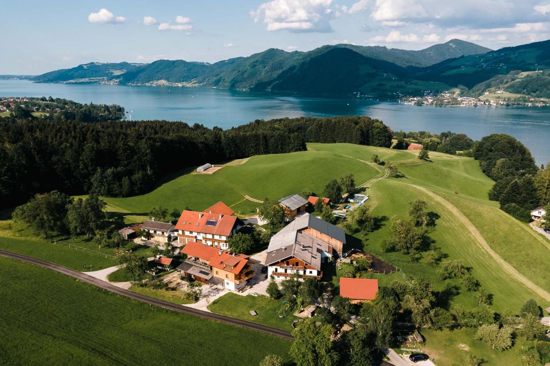 Ferienhof Grubinger Unterach am Attersee Eksteriør billede