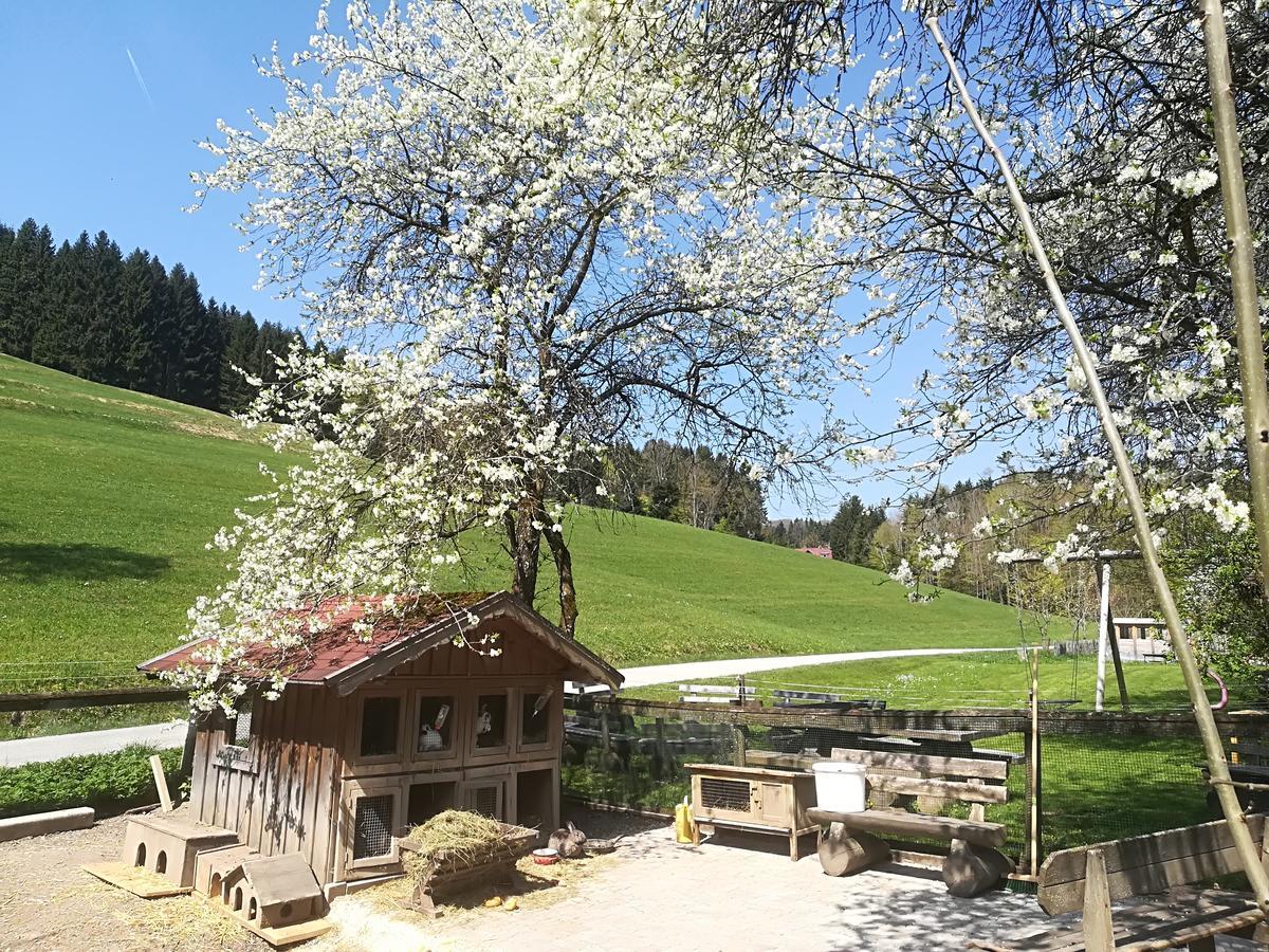 Ferienhof Grubinger Unterach am Attersee Eksteriør billede